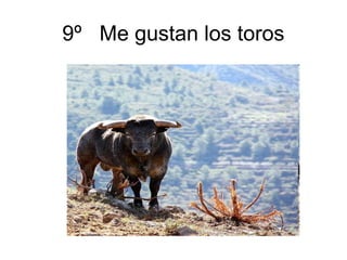 9º Me gustan los toros
 