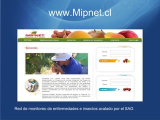 www.Mipnet.cl




Red de monitoreo de enfermedades e insectos avalado por el SAG
 