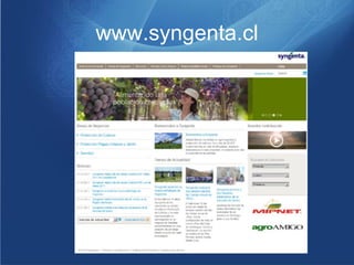 www.syngenta.cl
 