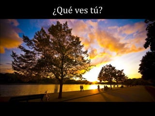 ¿Qué ves tú?
 