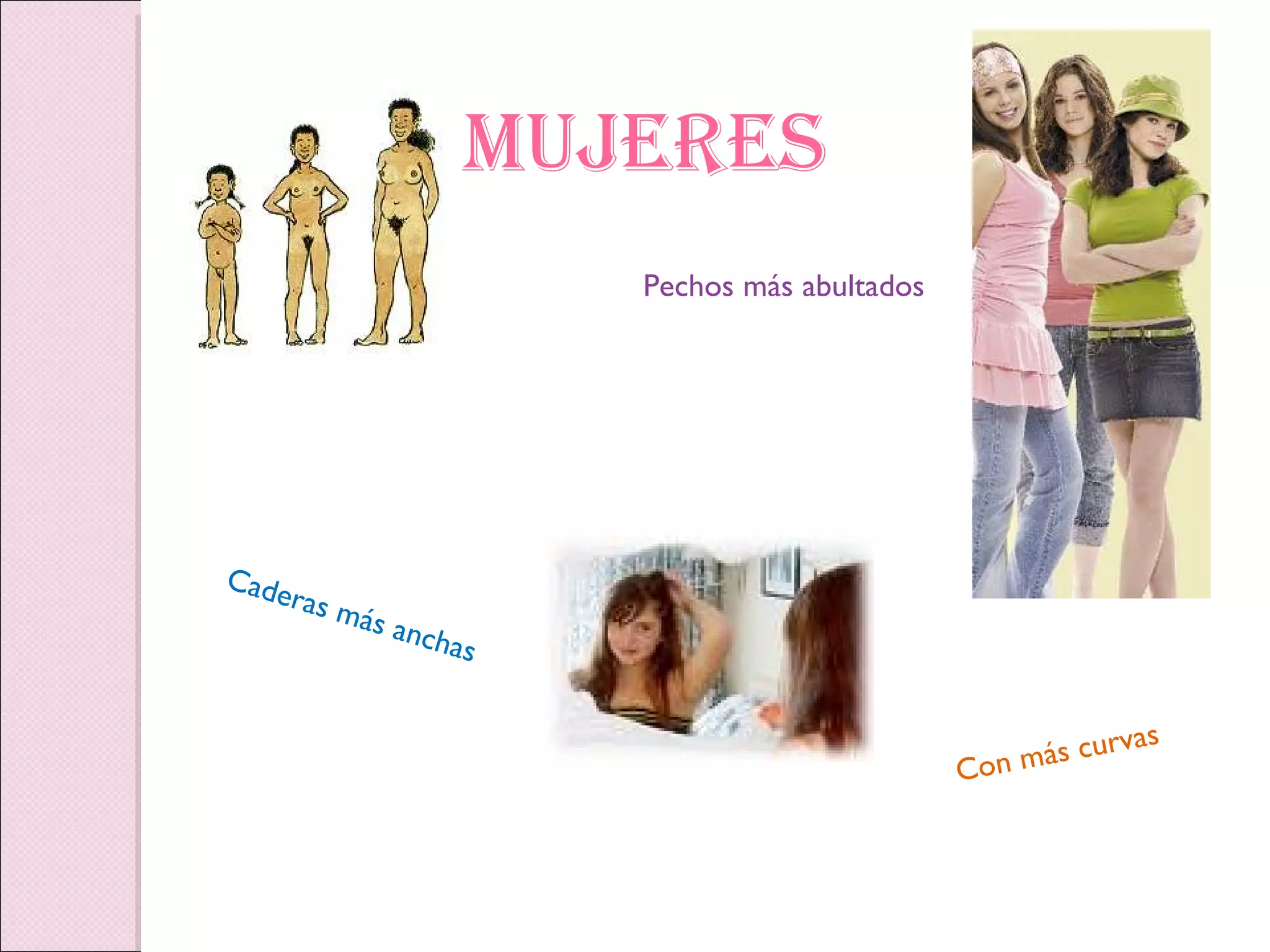 MUJERES Pechos más abultados Caderas más anchas Con más curvas 