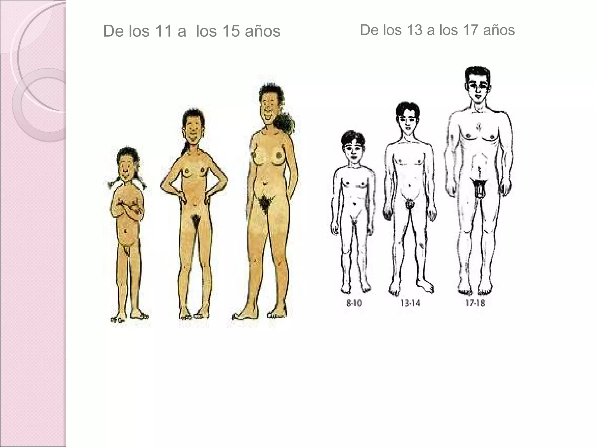 De los 11 a  los 15 años De los 13 a los 17 años 