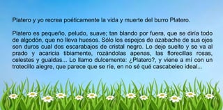 Platero y yo recrea poéticamente la vida y muerte del burro Platero.
Platero es pequeño, peludo, suave; tan blando por fuera, que se diría todo
de algodón, que no lleva huesos. Sólo los espejos de azabache de sus ojos
son duros cual dos escarabajos de cristal negro. Lo dejo suelto y se va al
prado y acaricia tibiamente, rozándolas apenas, las florecillas rosas,
celestes y gualdas... Lo llamo dulcemente: ¿Platero?, y viene a mí con un
trotecillo alegre, que parece que se ríe, en no sé qué cascabeleo ideal...
 