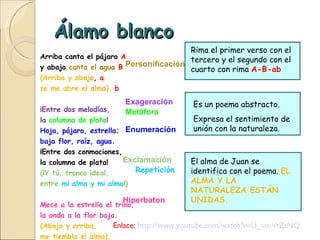 Álamo blanco Arriba canta el pájaro  A y abajo  canta el   a gu a   B  (Arriba y   ab a j o ,  a se me abre el   a lm a ).   b ¡Entre dos melodías,   la  columna de plata !  Hoja, pájaro, estrella;  baja flor, raíz, agua.   ¡Entre dos conmociones,  la columna de plata!  (¡Y tú, tronco ideal,  entre  mi alma y mi alma !) Mece a la estrella el trino,  la onda a la flor baja.  (Abajo y arriba,  me tiembla el alma). Rima el primer verso con el tercero y el segundo con el cuarto con rima  A-B-ab El alma de Juan se identifica con el poema.  EL ALMA Y LA NATURALEZA ESTÁN UNIDAS. Es un poema abstracto. Expresa el sentimiento de unión con la naturaleza. Exageración Exclamación Personificación Metáfora Enumeración Hiperbaton Enlace:  http :// www.youtube.com / watch?v=U_vo - VtZtNQ Repetición 