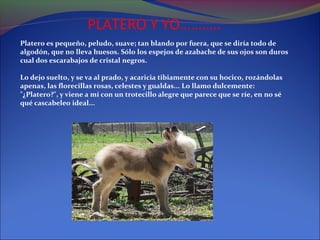 PLATERO Y YO………..
Platero es pequeño, peludo, suave; tan blando por fuera, que se diría todo de
algodón, que no lleva huesos. Sólo los espejos de azabache de sus ojos son duros
cual dos escarabajos de cristal negros.

Lo dejo suelto, y se va al prado, y acaricia tibiamente con su hocico, rozándolas
apenas, las florecillas rosas, celestes y gualdas... Lo llamo dulcemente:
"¿Platero?", y viene a mí con un trotecillo alegre que parece que se ríe, en no sé
qué cascabeleo ideal...
 