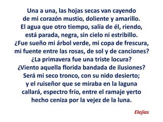 Una a una, las hojas secas van cayendo
de mi corazón mustio, doliente y amarillo.
El agua que otro tiempo, salía de él, riendo,
está parada, negra, sin cielo ni estribillo.
¿Fue sueño mi árbol verde, mi copa de frescura,
mi fuente entre las rosas, de sol y de canciones?
¿La primavera fue una triste locura?
¿Viento aquella florida bandada de ilusiones?
Será mi seco tronco, con su nido desierto;
y el ruiseñor que se miraba en la laguna
callará, espectro frío, entre el ramaje yerto
hecho ceniza por la vejez de la luna.
Elejías
 