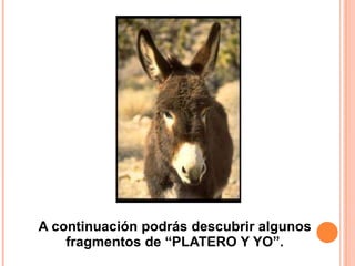 A continuación podrás descubrir algunos
fragmentos de “PLATERO Y YO”.

 