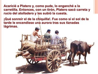 Acaricié a Platero y, como pude, lo enganché a la
carretilla. Entonces, con un tirón, Platero sacó carreta y
rucio del atolladero y les subió la cuesta.
¡Qué sonreír el de la chiquilla!. Fue como si el sol de la
tarde le encendiese una aurora tras sus tiznadas
lágrimas.

 