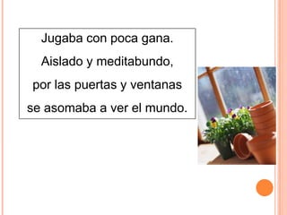 Jugaba con poca gana.
Aislado y meditabundo,

por las puertas y ventanas
se asomaba a ver el mundo.

 