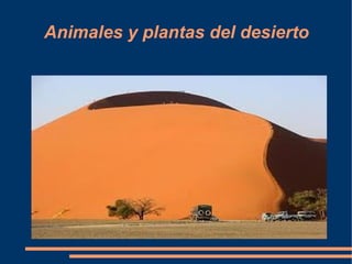 Animales y plantas del desierto
JuanRa slideshare
 
