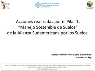 Acciones realizadas por el Pilar 1:
“Manejo Sostenible de Suelos”
de la Alianza Sudamericana por los Suelos.
Responsable del Pilar 1 para Sudamérica
Juan Carlos Rey
 