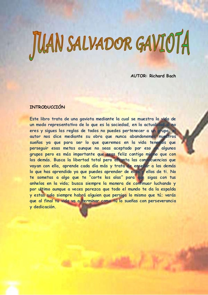 Juan salvador gaviota