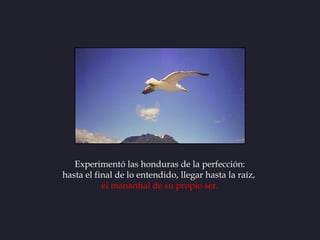 Experimentó las honduras de la perfección:
hasta el final de lo entendido, llegar hasta la raíz,
           el manantial d...