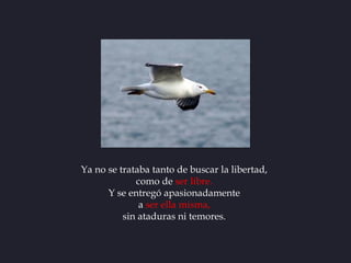 Ya no se trataba tanto de buscar la libertad,
             como de ser libre.
      Y se entregó apasionadamente
         ...
