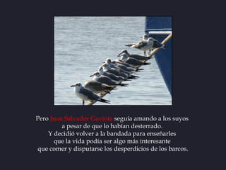 Pero Juan Salvador Gaviota seguía amando a los suyos
         a pesar de que lo habían desterrado.
    Y decidió volver a ...