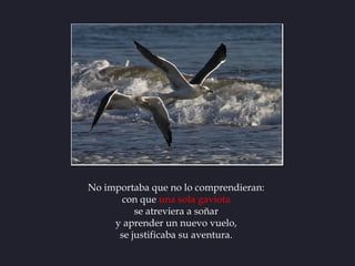 No importaba que no lo comprendieran:
       con que una sola gaviota
          se atreviera a soñar
     y aprender un nu...