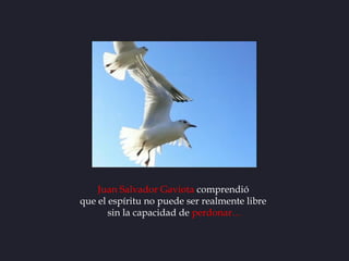 Juan Salvador Gaviota comprendió
que el espíritu no puede ser realmente libre
       sin la capacidad de perdonar…
 