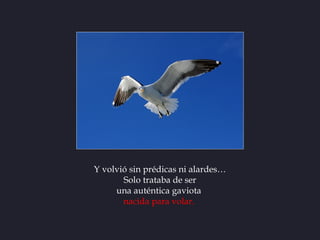 Y volvió sin prédicas ni alardes…
       Solo trataba de ser
     una auténtica gaviota
       nacida para volar.
 