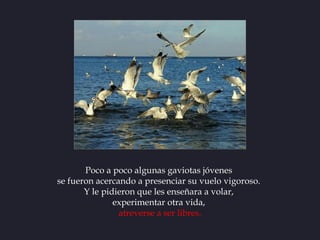 Poco a poco algunas gaviotas jóvenes
se fueron acercando a presenciar su vuelo vigoroso.
       Y le pidieron que les ense...