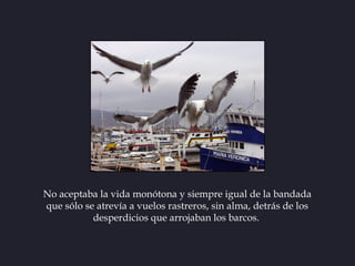 No aceptaba la vida monótona y siempre igual de la bandada
que sólo se atrevía a vuelos rastreros, sin alma, detrás de los...