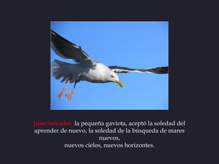 Juan Salvador, la pequeña gaviota, aceptó la soledad del
aprender de nuevo, la soledad de la búsqueda de mares
           ...