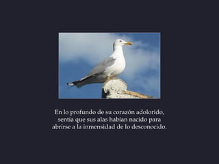 En lo profundo de su corazón adolorido,
  sentía que sus alas habían nacido para
abrirse a la inmensidad de lo desconocido.
 
