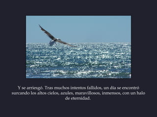 Y se arriesgó. Tras muchos intentos fallidos, un día se encontró
surcando los altos cielos, azules, maravillosos, inmensos...