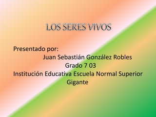 Presentado por: 
Juan Sebastián González Robles 
Grado 7 03 
Institución Educativa Escuela Normal Superior 
Gigante 
 