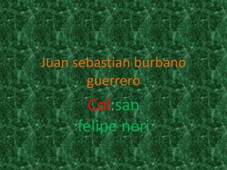 Juan sebastian burbano
       guerrero
       Col:san
     felipe neri
 