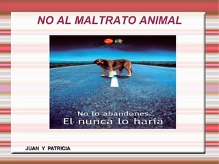 NO AL MALTRATO ANIMAL
JUAN Y PATRICIAJUAN Y PATRICIA
 