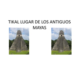 TIKAL LUGAR DE LOS ANTIGUOS
MAYAS
 