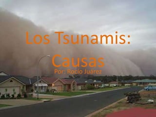 Los Tsunamis:
   Causas
   Por: Rocío Juárez
 