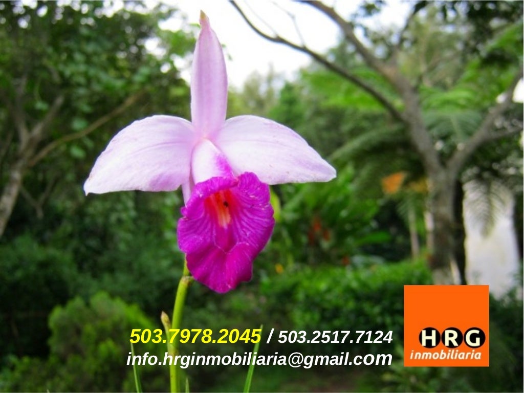 HOME FOR SALE / VENDO CASA JUAYUA, EL SALVADOR RUTA DE LAS FLORES