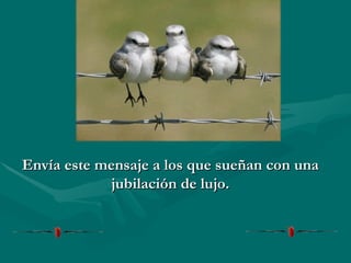 Envía este mensaje a los que sueñan con una jubilación de lujo. 