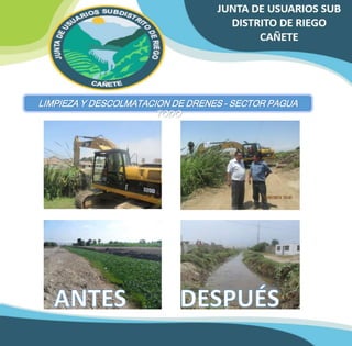LIMPIEZA Y DESCOLMATACION DE DRENES – SECTOR PAGUA 
TODO 
 