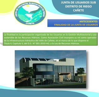 ANTECEDENTES: 
FINALIDAD DE LA JUNTA DE USUARIOS 
La finalidad es la participación organizada de los Usuarios en la Gestión Multisectorial y uso 
sostenible de los Recursos Hídricos. Como Asociación Civil incorpora su rol como operador 
de la infraestructura hidráulica del Valle de Cañete, en el marco de lo que dispone el 
Título II, Capítulo V, del D.S.: N° 001-2010-AG; y la Ley de Recursos Hídricos. 
 