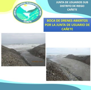 BOCA DE DRENES ABIERTOS 
POR LA JUNTA DE USUARIO DE 
CAÑETE 
 