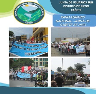 PARO AGRARIO 
NACIONAL – JUNTA DE 
CAÑETE SE HIZO 
PRESENTE 
 