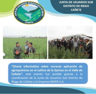 “Charla informativa sobre correcta aplicación de 
agroquímicos en el cultivo de la Quinua en el Valle de 
Cañete”, este evento fue posible gracias a la 
coordinación de la Junta de Usuarios Sub Distrito de 
Riego de Cañete y la Empresa BAYER S.A. 
 