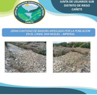 GRAN CANTIDAD DE BASURA ARROJADA POR LA POBLACIÓN 
EN EL CANAL SAN MIGUEL - IMPERIAL 
 