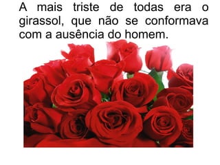 A mais triste de todas era o
girassol, que não se conformava
com a ausência do homem.

 