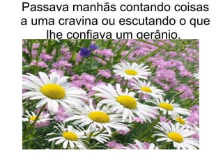 Passava manhãs contando coisas
a uma cravina ou escutando o que
lhe confiava um gerânio.

 