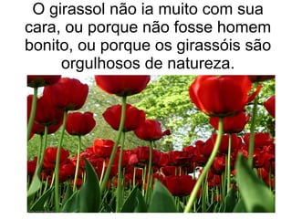 O girassol não ia muito com sua
cara, ou porque não fosse homem
bonito, ou porque os girassóis são
orgulhosos de natureza.

 