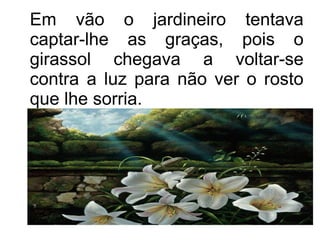 Em vão o jardineiro tentava
captar-lhe as graças, pois o
girassol chegava a voltar-se
contra a luz para não ver o rosto
que lhe sorria.

 