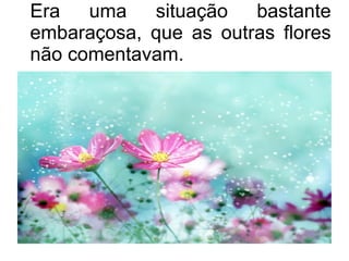 Era
uma
situação bastante
embaraçosa, que as outras flores
não comentavam.

 