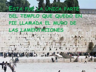ESTA   FUE LA ÚNICA PARTE
DEL TEMPLO QUE QUEDO EN
PIE LLAMADA EL MURO DE
LAS LAMENTACIONES
 