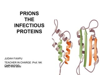 PRIONS
THE
INFECTIOUS
PROTEINS
JUDAH F.KAPU
TEACHER IN CHARGE :Prof. NK
CHRUNGOOMSC IInd SEM
 