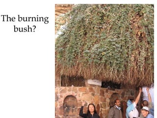 The burning
bush?
 