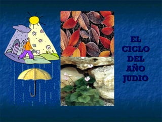 EL CICLO DEL AÑO JUDIO 