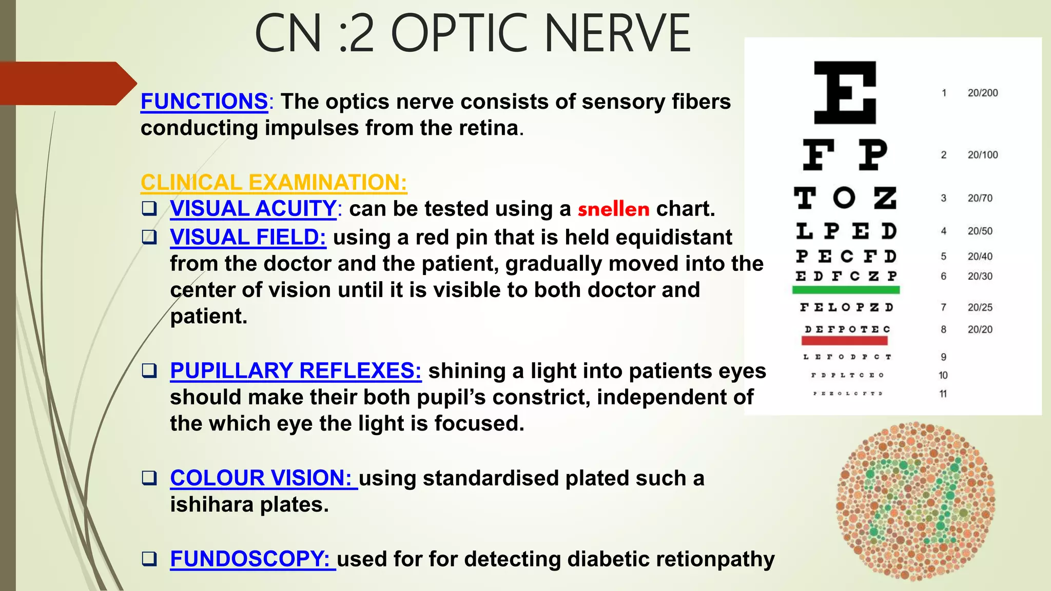 CRANIAL NERVE EXAMINATION | PPTX